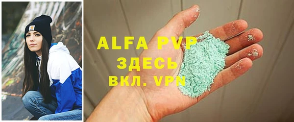 прущие грибы Ладушкин